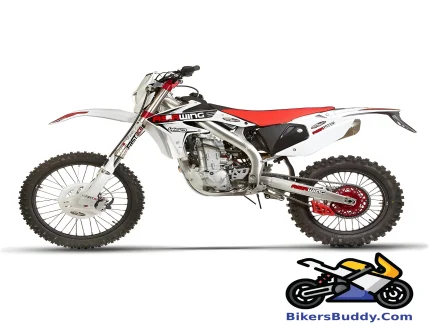Asiawing 450 Enduro motorcycle