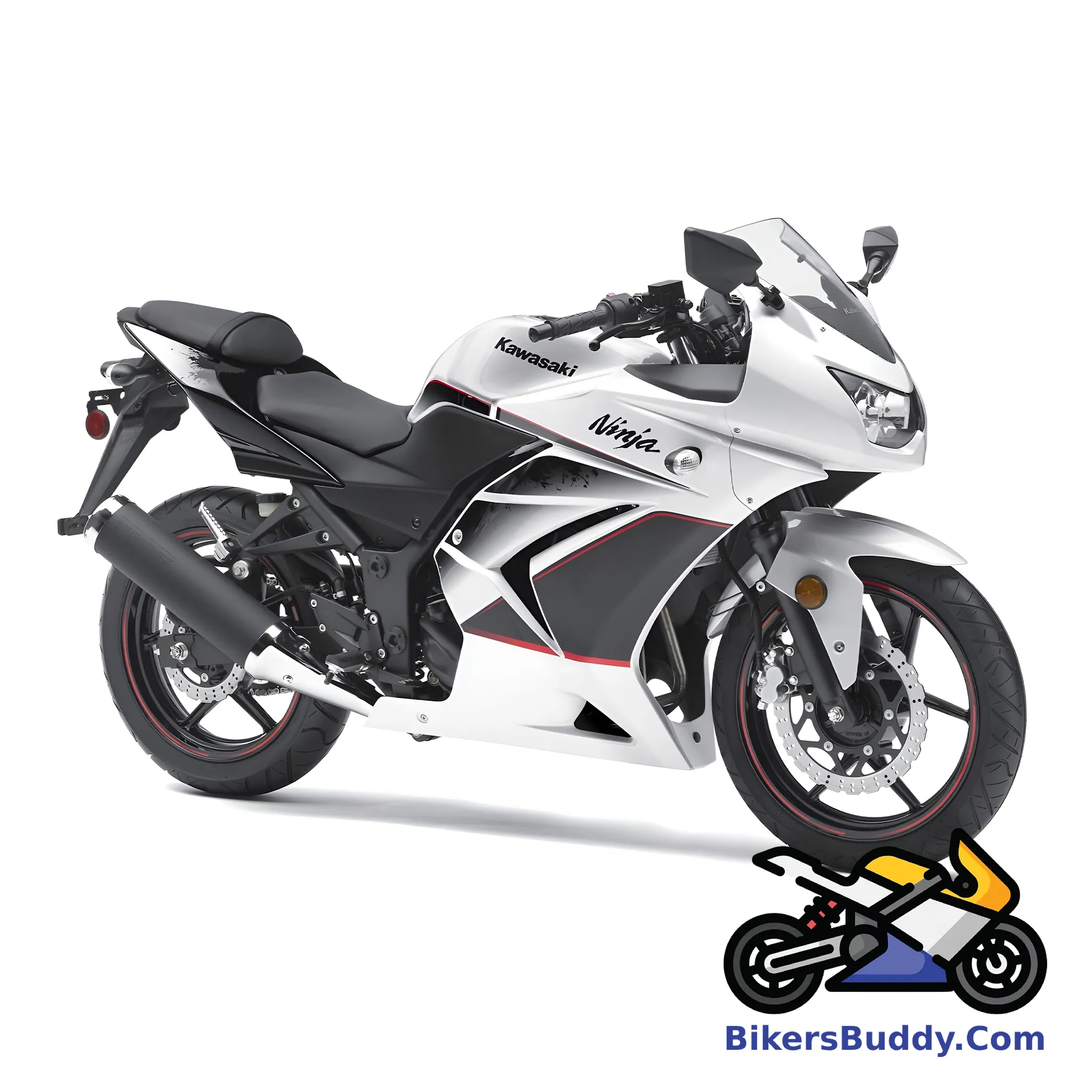 Kawasaki Ninja RR ZX150