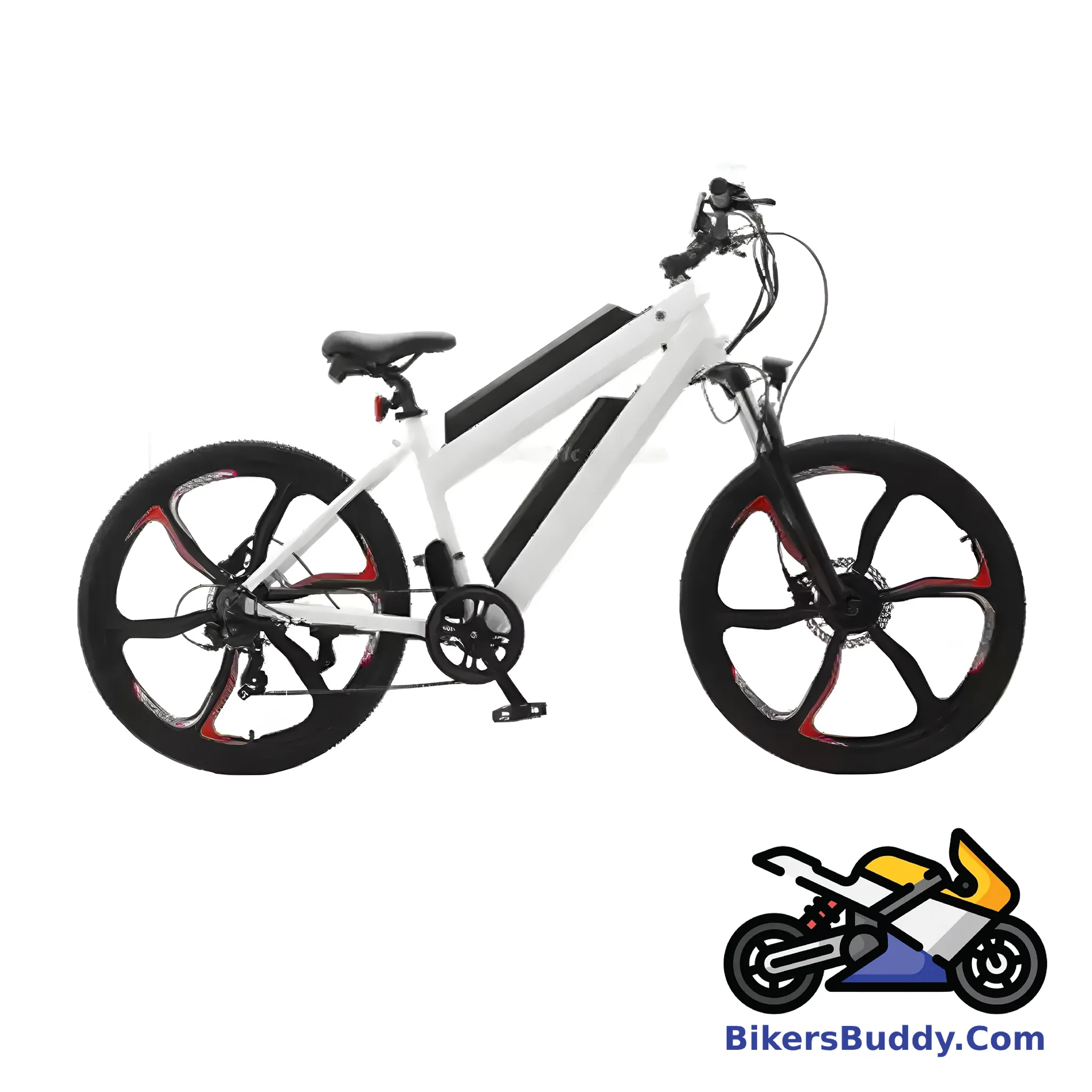 Luyuan Electric Bicycle EM 02D