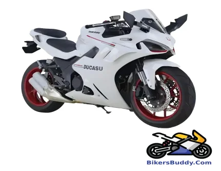 Ducasu DK 350S motorcycle