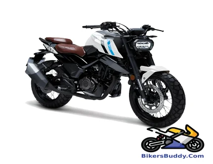 FKM Street Scrambler 165 SX