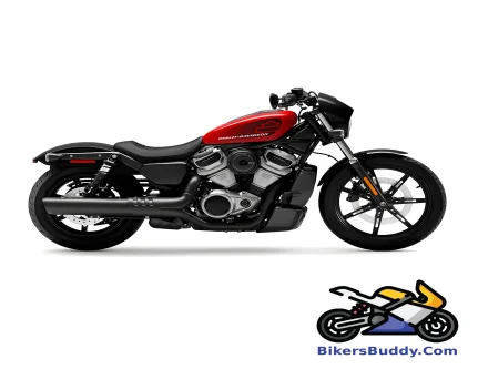 Harley Davidson Nightster motorcycle