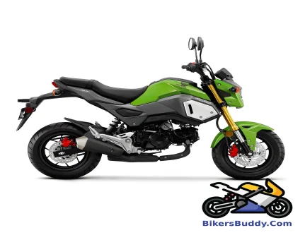 Honda MSX125 motorcycle