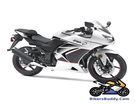 Kawasaki Ninja RR ZX150 motorcycle