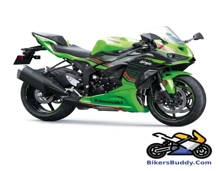 Kawasaki Ninja ZX-4RR