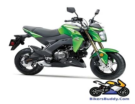 Kawasaki Z125 Pro motorcycle