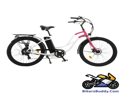 Luyuan EC-01F Lite motorcycle