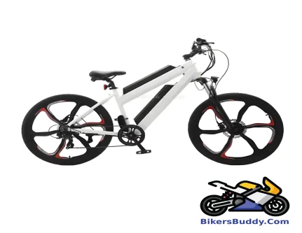 Luyuan Electric Bicycle EM 02D motorcycle