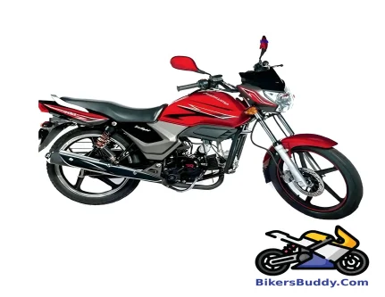 Roadmaster Delight motorcycle