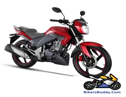 Roadmaster Predator motorcycle