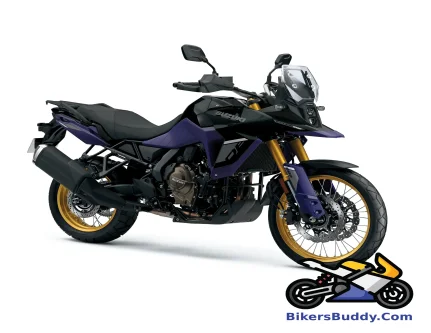 Suzuki V-Strom 800DE motorcycle