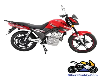 Tailg Fengying motorcycle