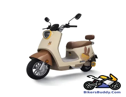 Tailg Jade Rabbit motorcycle