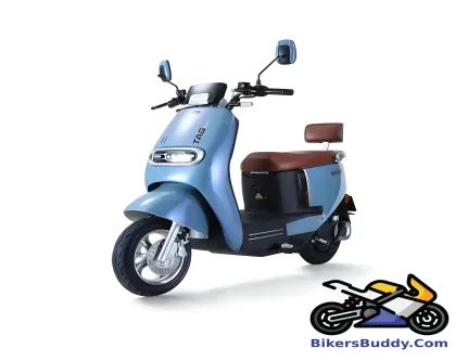 Tailg Pacesetter motorcycle