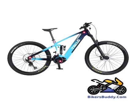 Tailg TD03 motorcycle