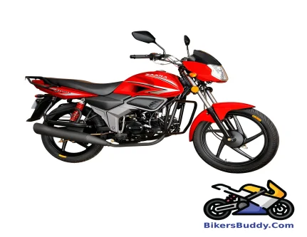 Zaara 100